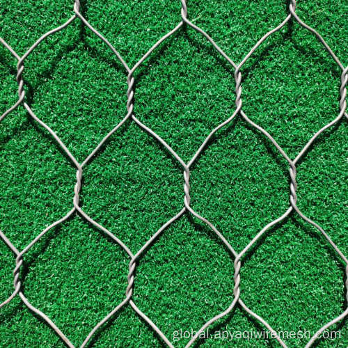 Factory Hexagonal Wire Netting For Chicken pvc coated/Galvanized Hexagonal Chicken Wire Mesh Supplier